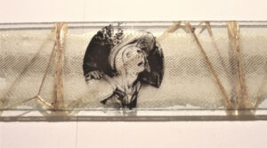 1980 | wenn ein blinder einen blinden führt lithographie auf glas und schlangenhaut ca 200cm x 20cm
