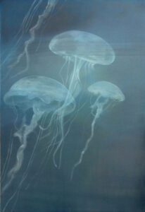 2012 | quallen 110cm x 160cm