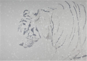 2016 | tiger 2 50cm x 70cm